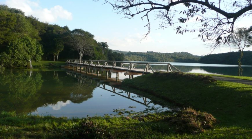 A rua mais longa da cidade