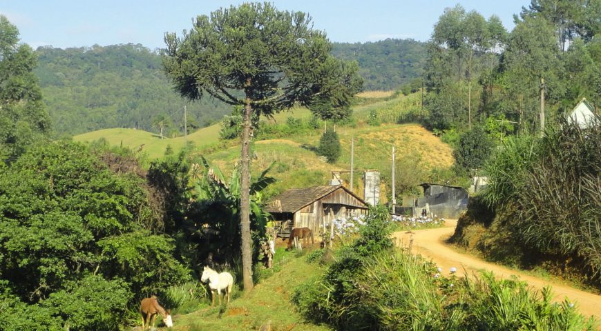 Caminhadas no Vale Europeu