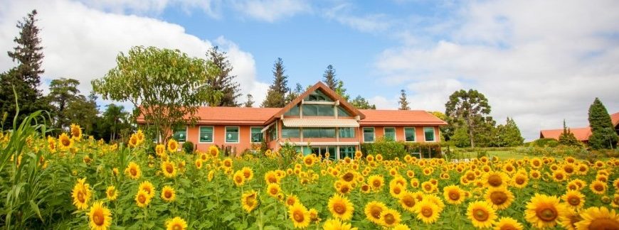 Lapinha Spa com caminhada