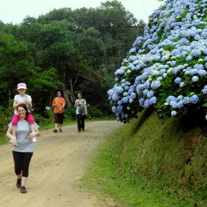 Caminhada rural: Caminho das Hortências