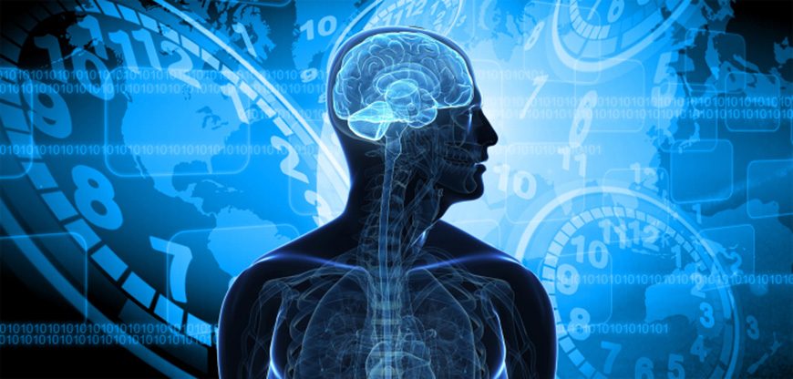 Ciclo Circadiano – O Relógio do Corpo Humano