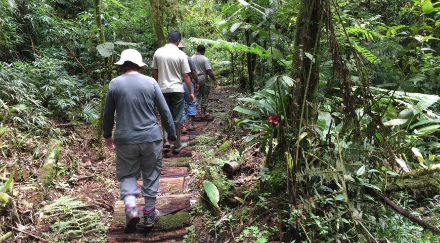 Você se comporta de forma ética em ambientes naturais?