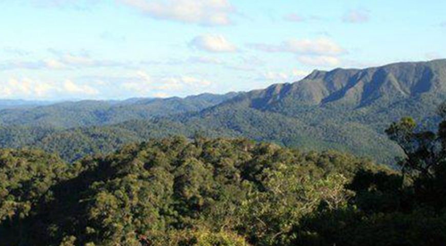 Parque das Lauráceas