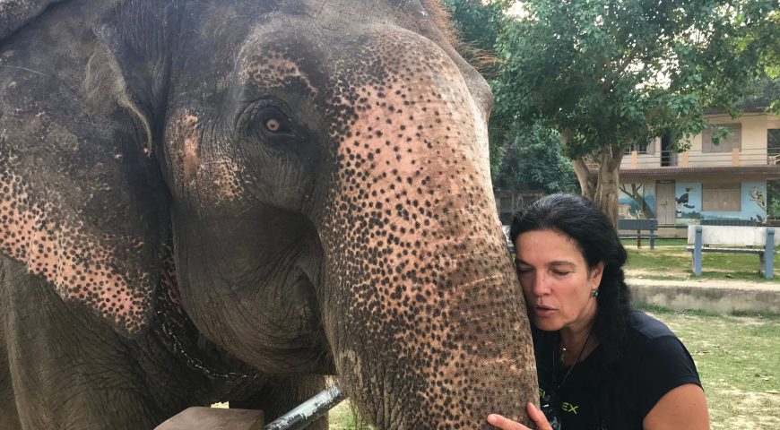 Safari em Sauraha/Nepal