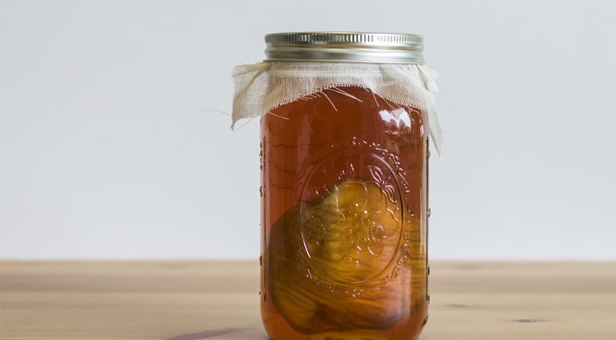 Kombucha: uma bebida milenar