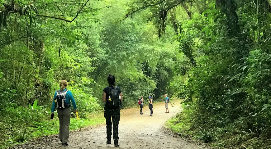 América de Cima com Cervejaria Artesanal