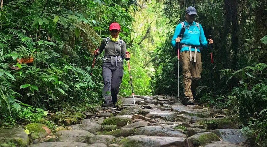 Nosso Caminho do Itupava