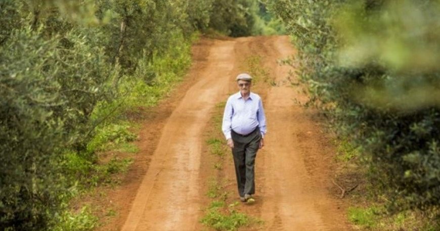 Azeite de Oliva Extra Virgem Paranaense