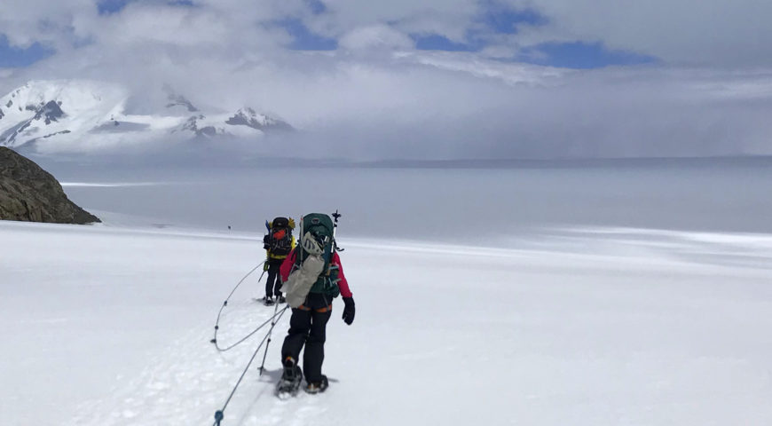 Travessia Do Campo De Gelo Sul: Visão do Mundo Branco