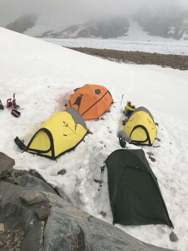 solo (gelo) Argentino