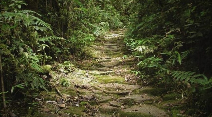 Caminho de Peabiru – Incas Paraguariensis