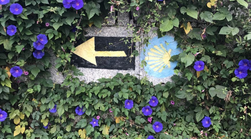 Os Caminhos à Santiago de Compostela