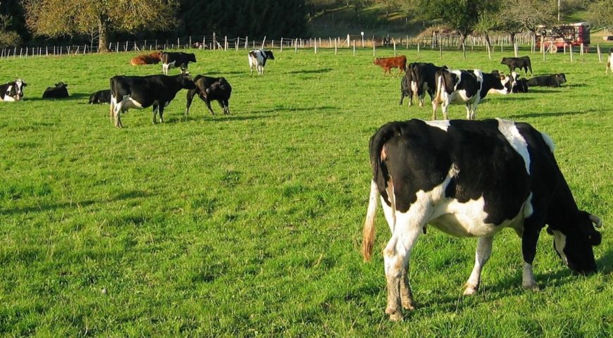 Caminhada na Colônia Witmarsum – Inscrições encerradas
