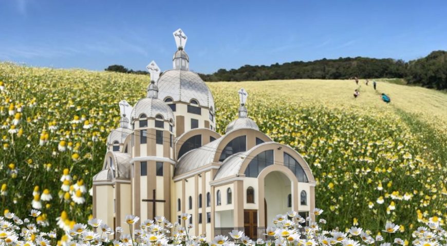 Camomilas e Colônia Marcelino