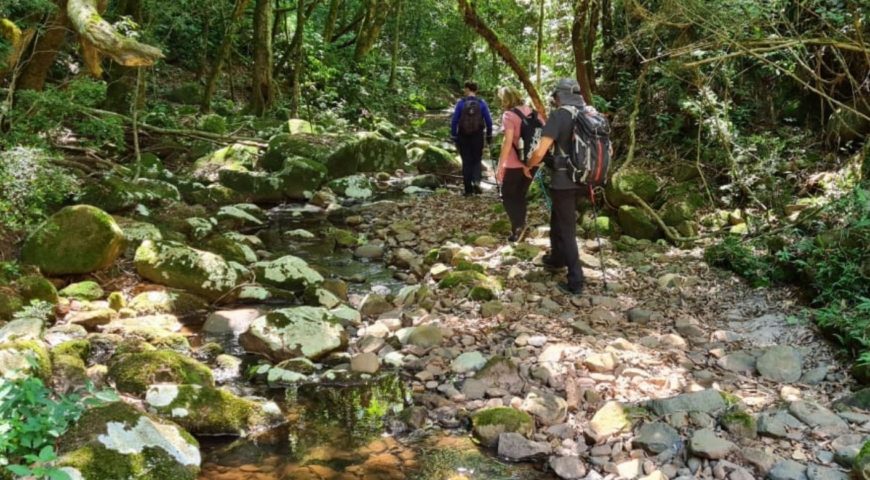 Trilha das Nascentes