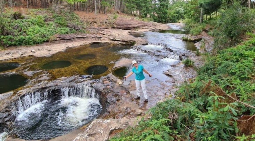 Tamanduá com Cachoeira