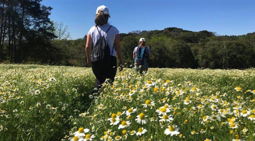 Caminhadas Rurais com temas Florais